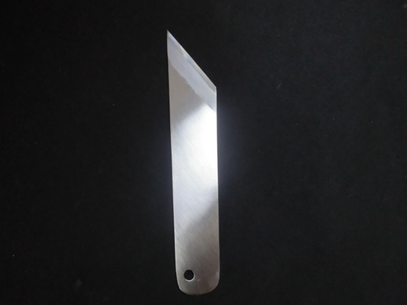 Blue Steel #2 Eel Knife 190mm