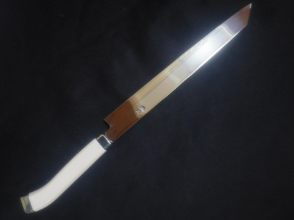 Ginsan Yanagiba (Kiritsuke) 270mm -Mirror Polished (both sides) -Colored pistol-grip handle