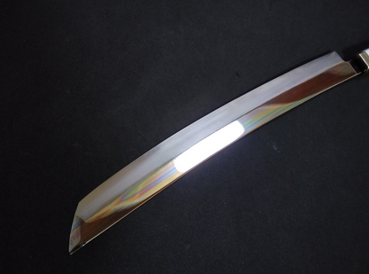 Ginsan Yanagiba(Kiritsuke) 300mm -Mirror Polished(one side) -Colored pistol-grip handle