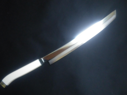 Ginsan Yanagiba (Sakimaru) 300mm -Mirror Polished (one side) -Colored pistol-grip handle