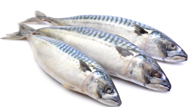 Mackerel