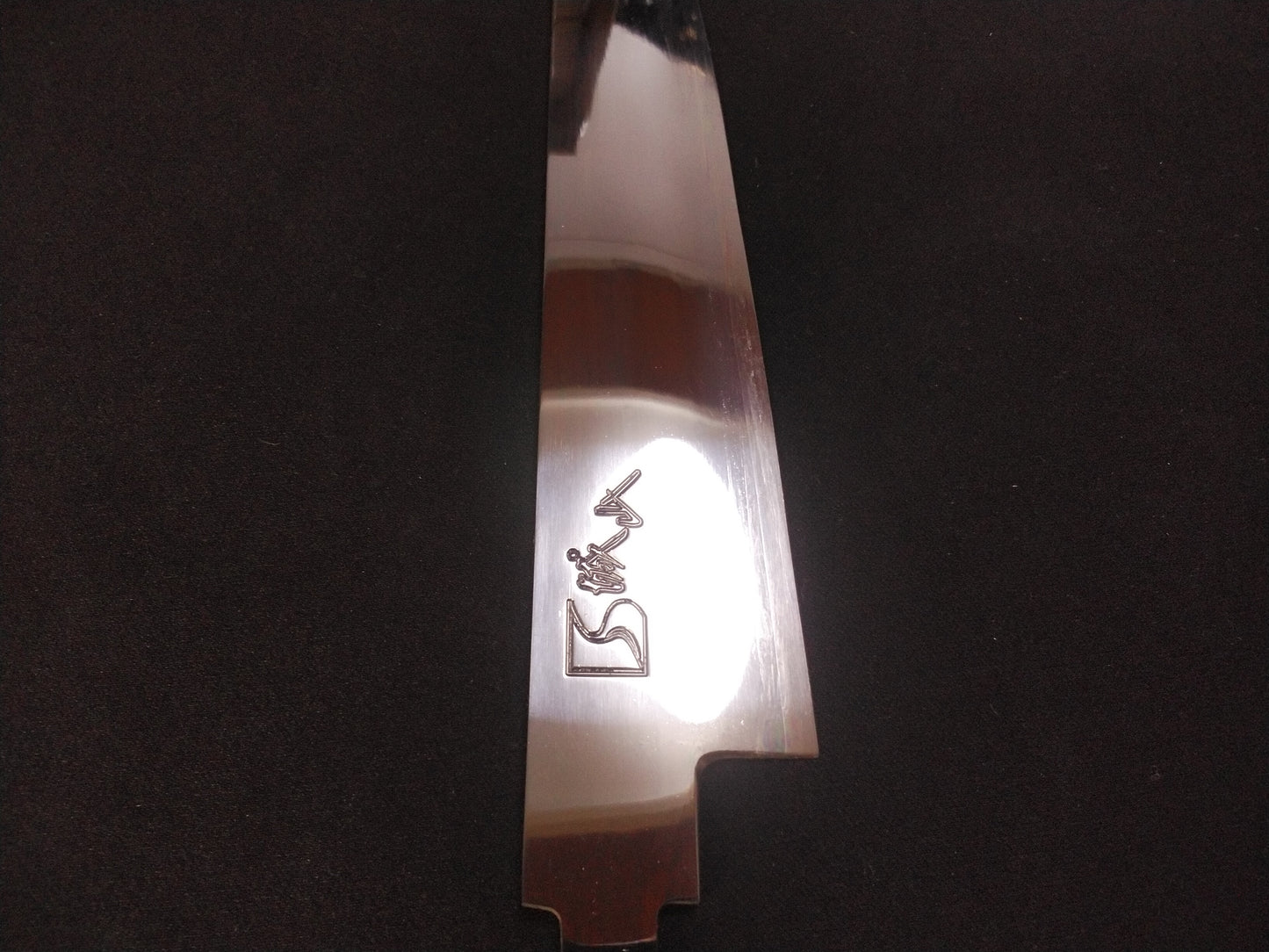 Japanese Knife Gyuto ZDP189