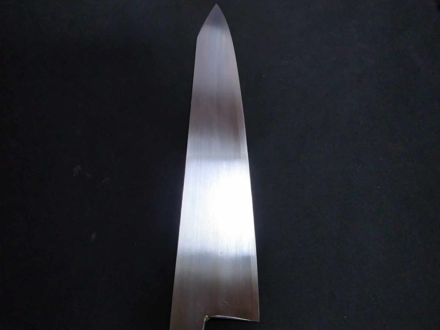 ZDP189 Gyuto 270mm