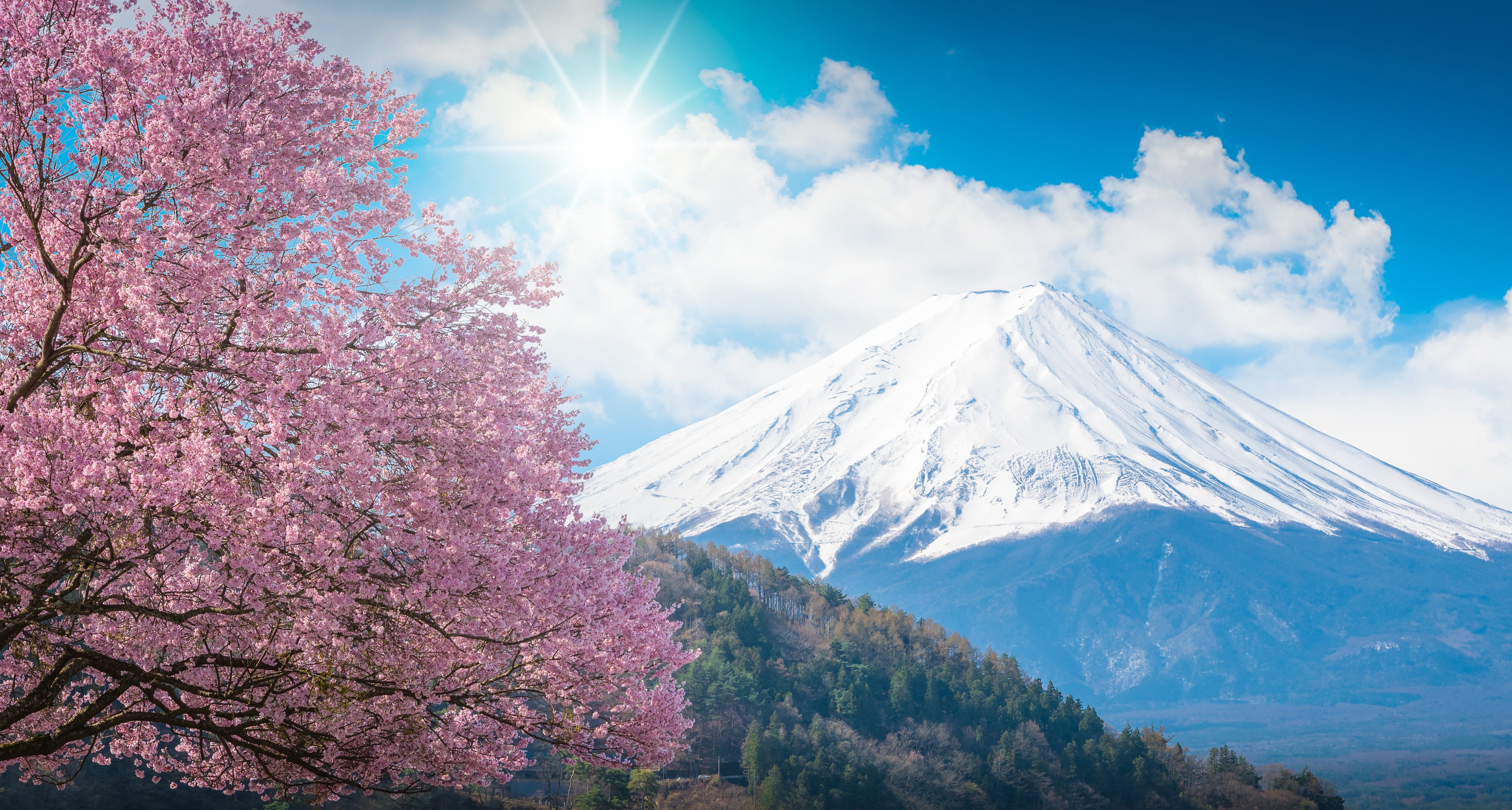 fuji-mountain-japan