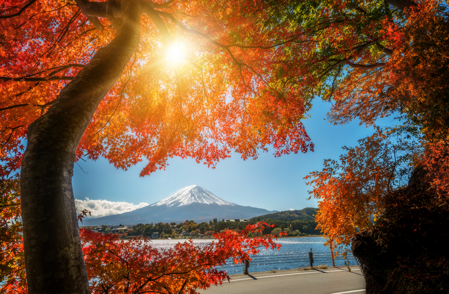 Mt. Fuji is the symbol of KIREAJI.