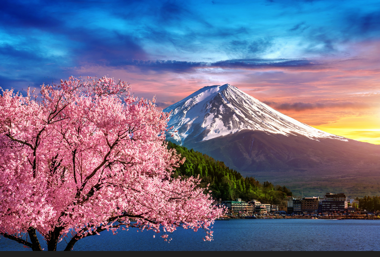 Mt. Fuji is the symbol of KIREAJI.