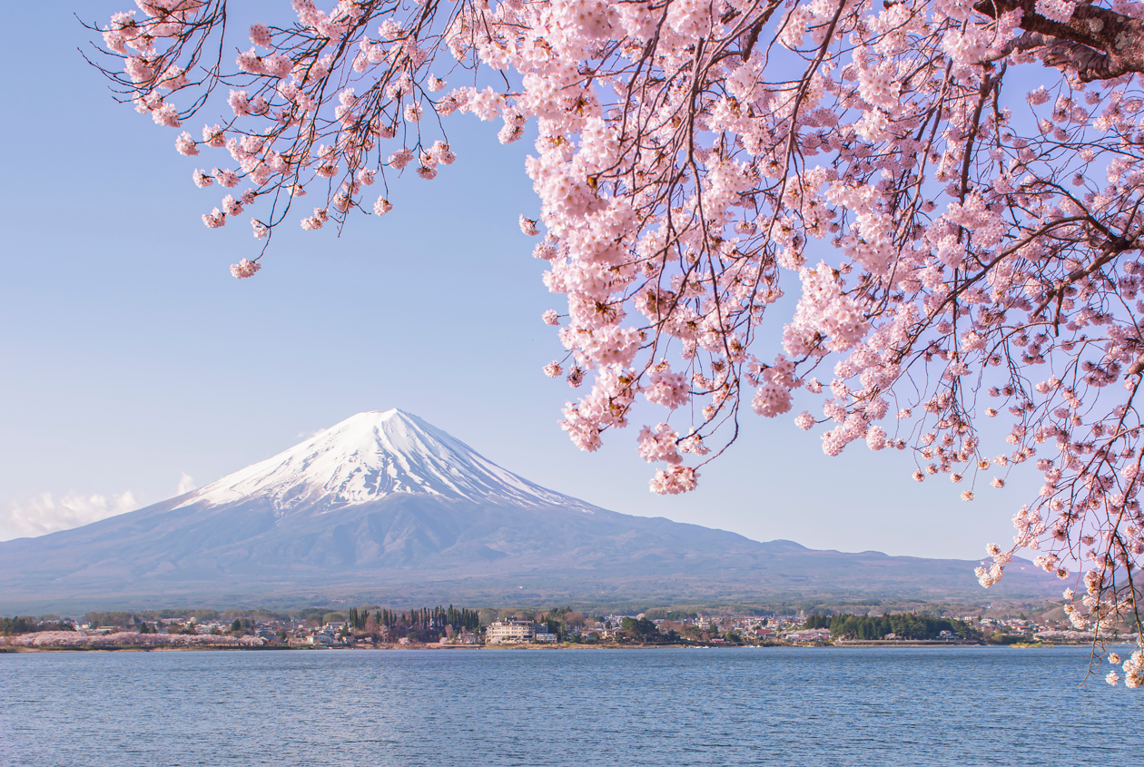 Mt. Fuji is the symbol of KIREAJI.