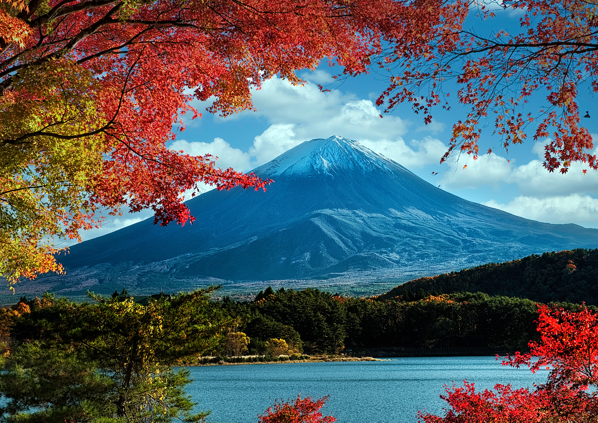 Mt. Fuji is the symbol of KIREAJI.