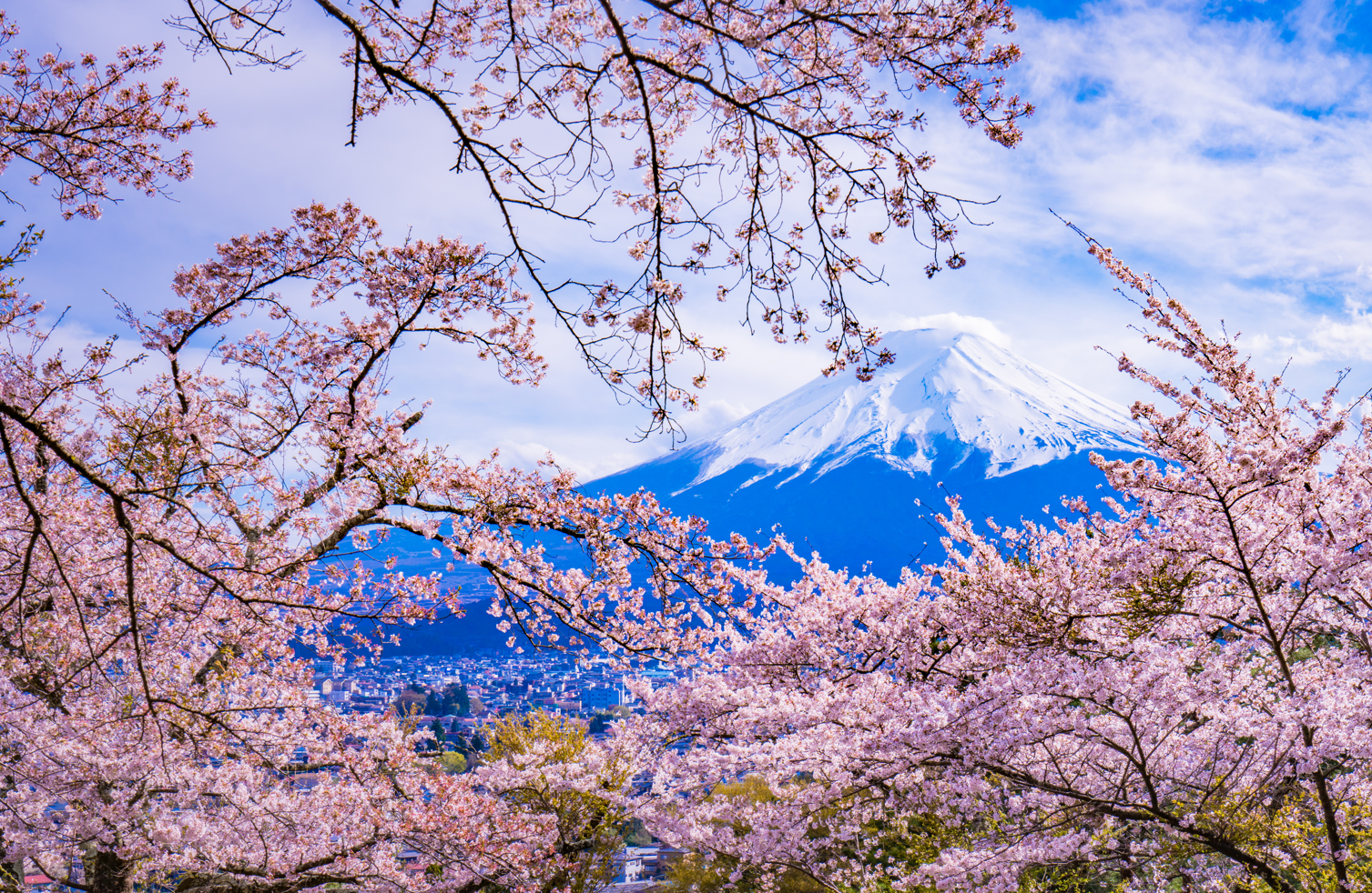 Mt. Fuji is the symbol of KIREAJI.