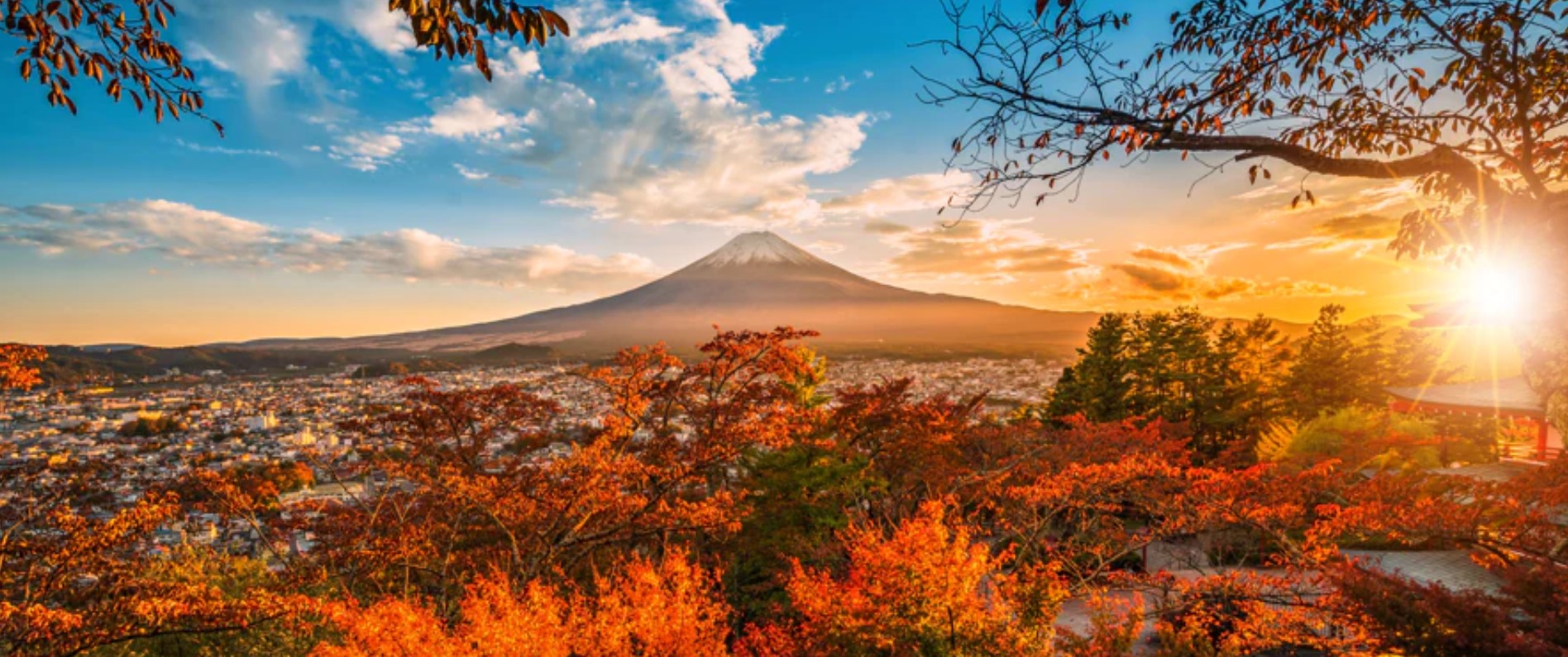 Mt. Fuji is the symbol of KIREAJI.