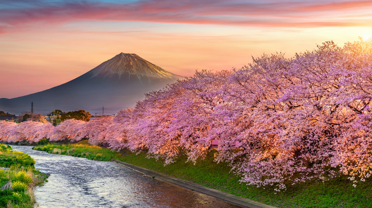 Mt. Fuji is the symbol of KIREAJI.