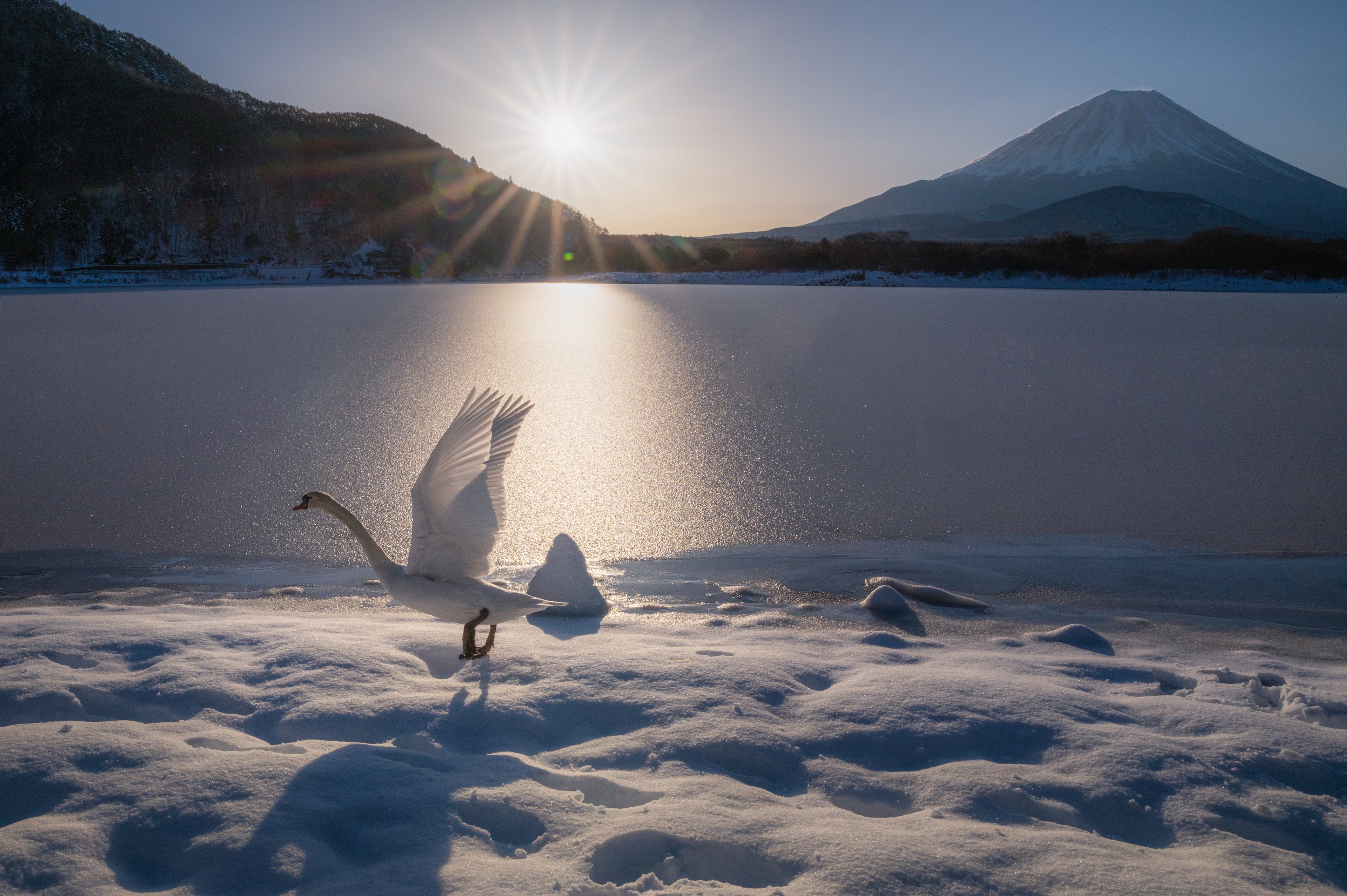 Mt. Fuji is the symbol of KIREAJI.