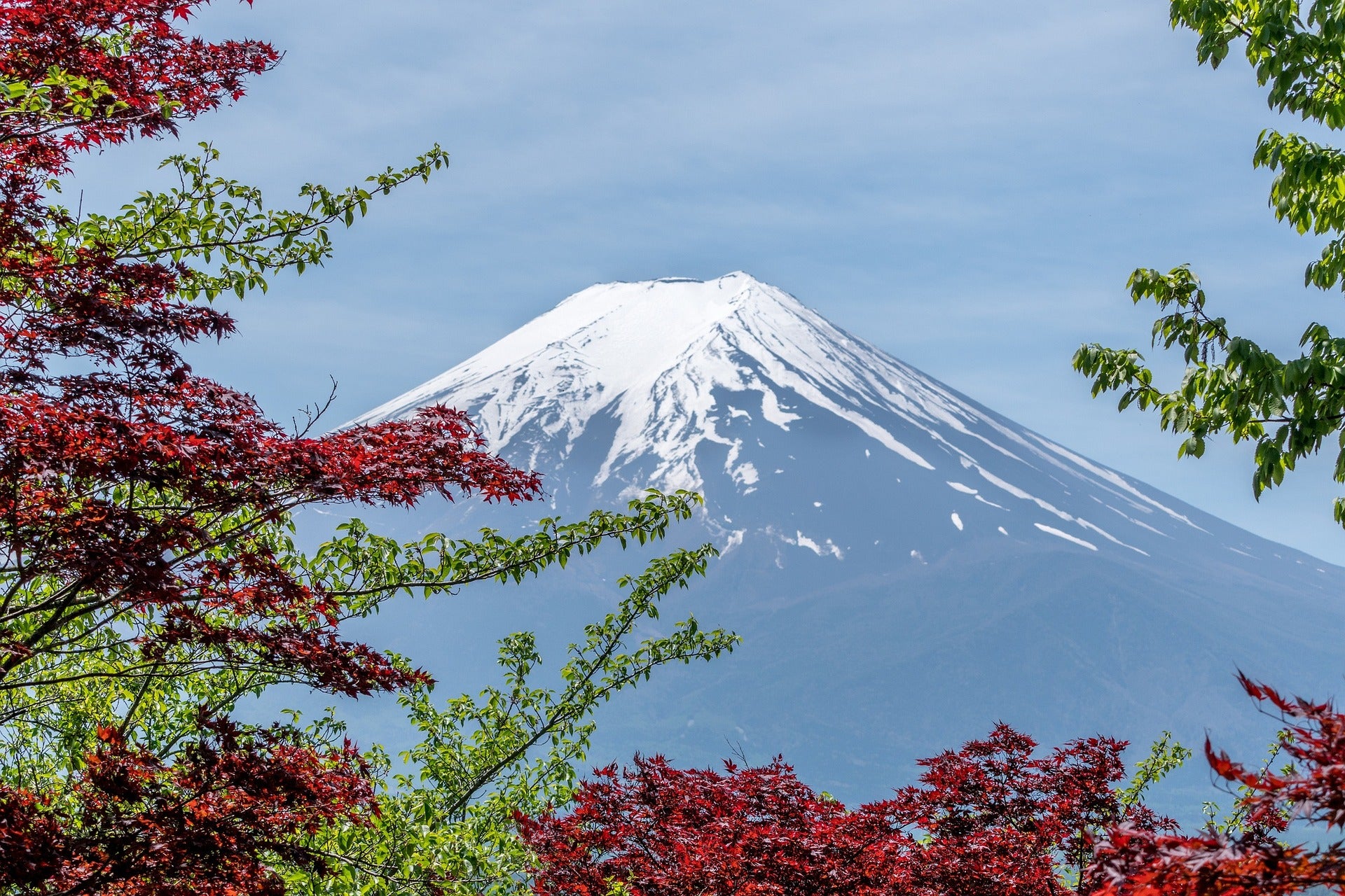 Mt. Fuji is the symbol of KIREAJI.