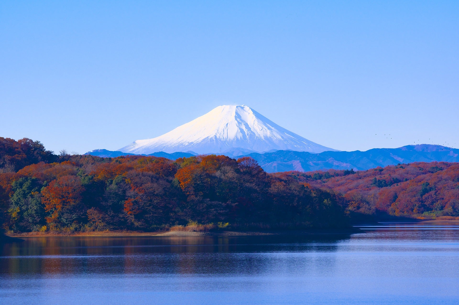 Mt. Fuji is the symbol of KIREAJI.