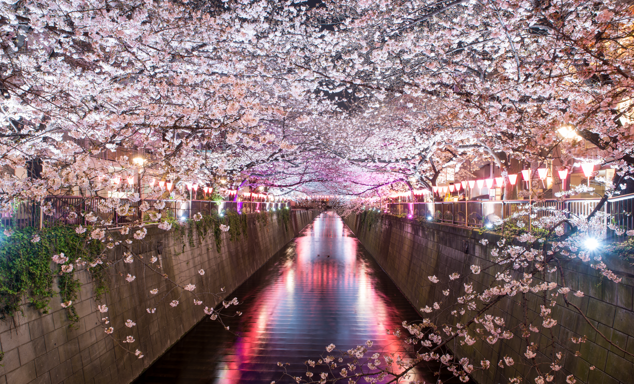 japanese-landscape-scenery